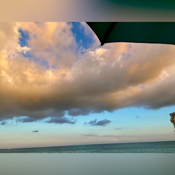 Meet your Posher, Lia - Picture 1 of 1